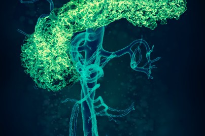 3D rendering of the human pancreas in green with surrounding blue blood vessels, highlighting anatomical structure and vascular network.