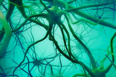 Artistic illustration of interconnected neurons with branching dendrites against a teal gradient background.