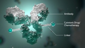 primary article image