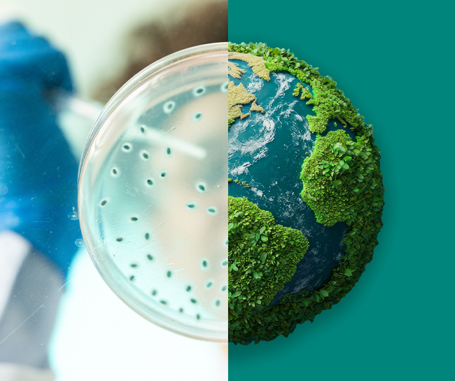 Split image showing a gloved hand holding a petri dish with greenish-blue microbial colonies on the left, and an artistic Earth covered in green foliage and blue oceans on the right
