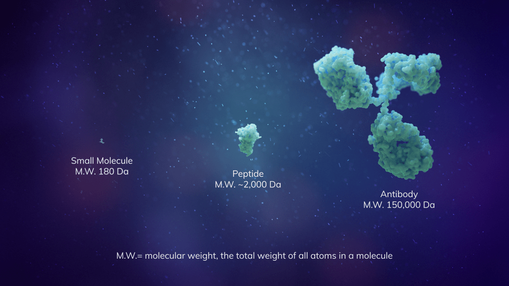 Macrocyclic Peptide Graphic