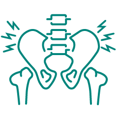 Illustration of pelvic skeleton