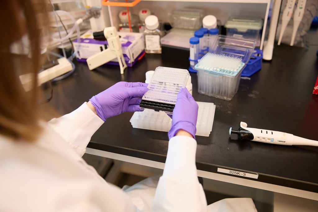 researcher in lab