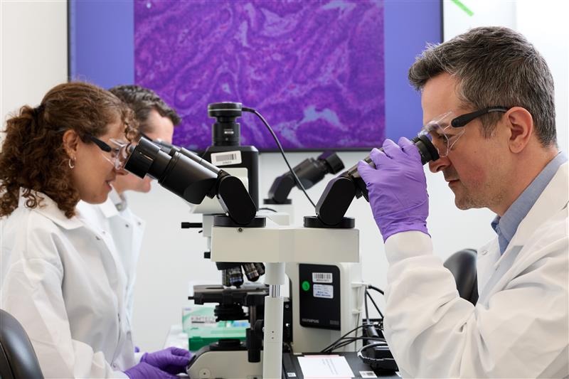 scientists looking through microscopes