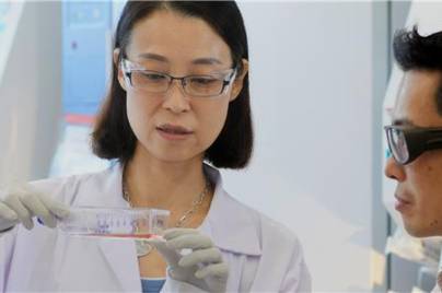 two scientists working in a lab