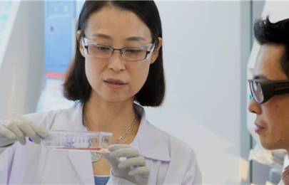 two scientists working in a lab