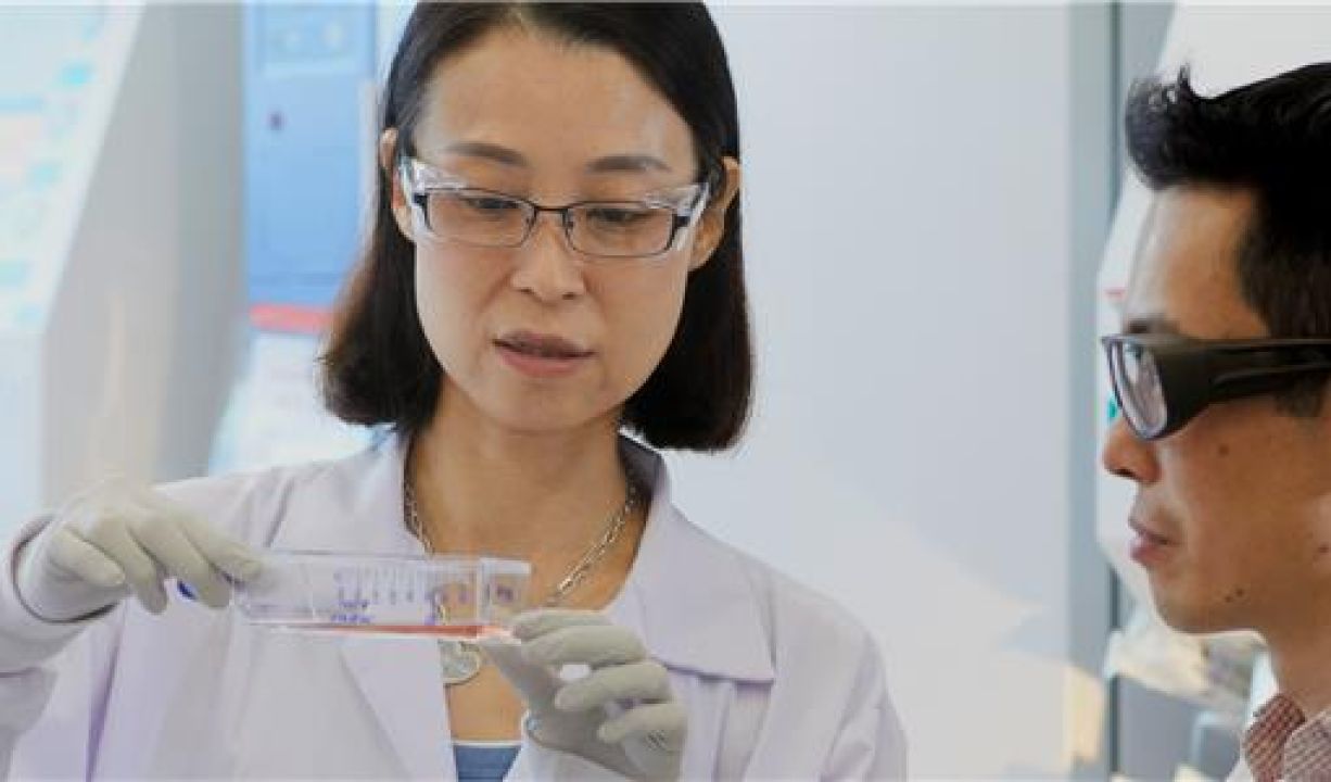 two scientists working in a lab
