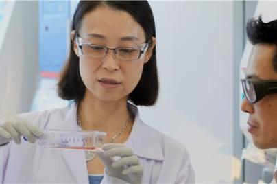 two scientists working in a lab