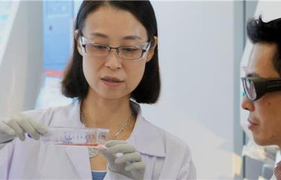 two scientists working in a lab
