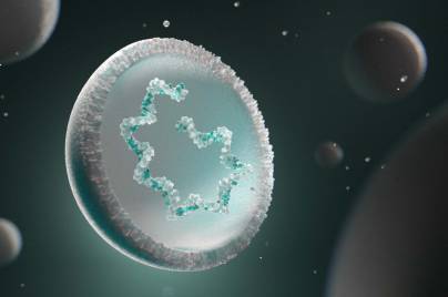 Image for What are individualized neoantigen therapies?