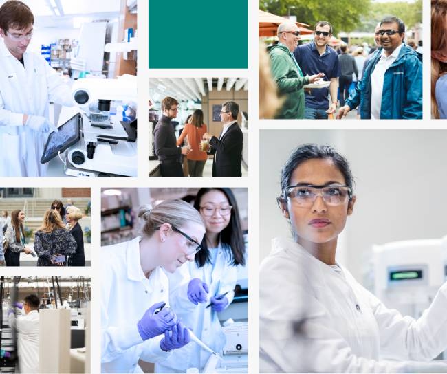 collage of scientists and staff