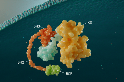 3-D depiction of BCR protein complex