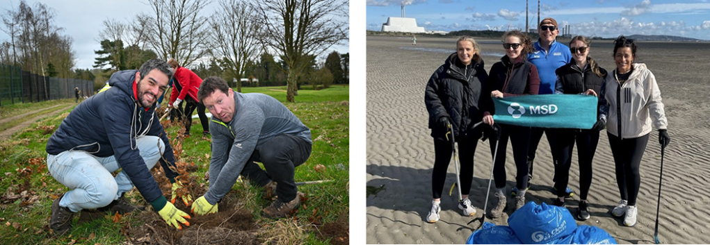 tree cleaning on the left beach clean up on the right