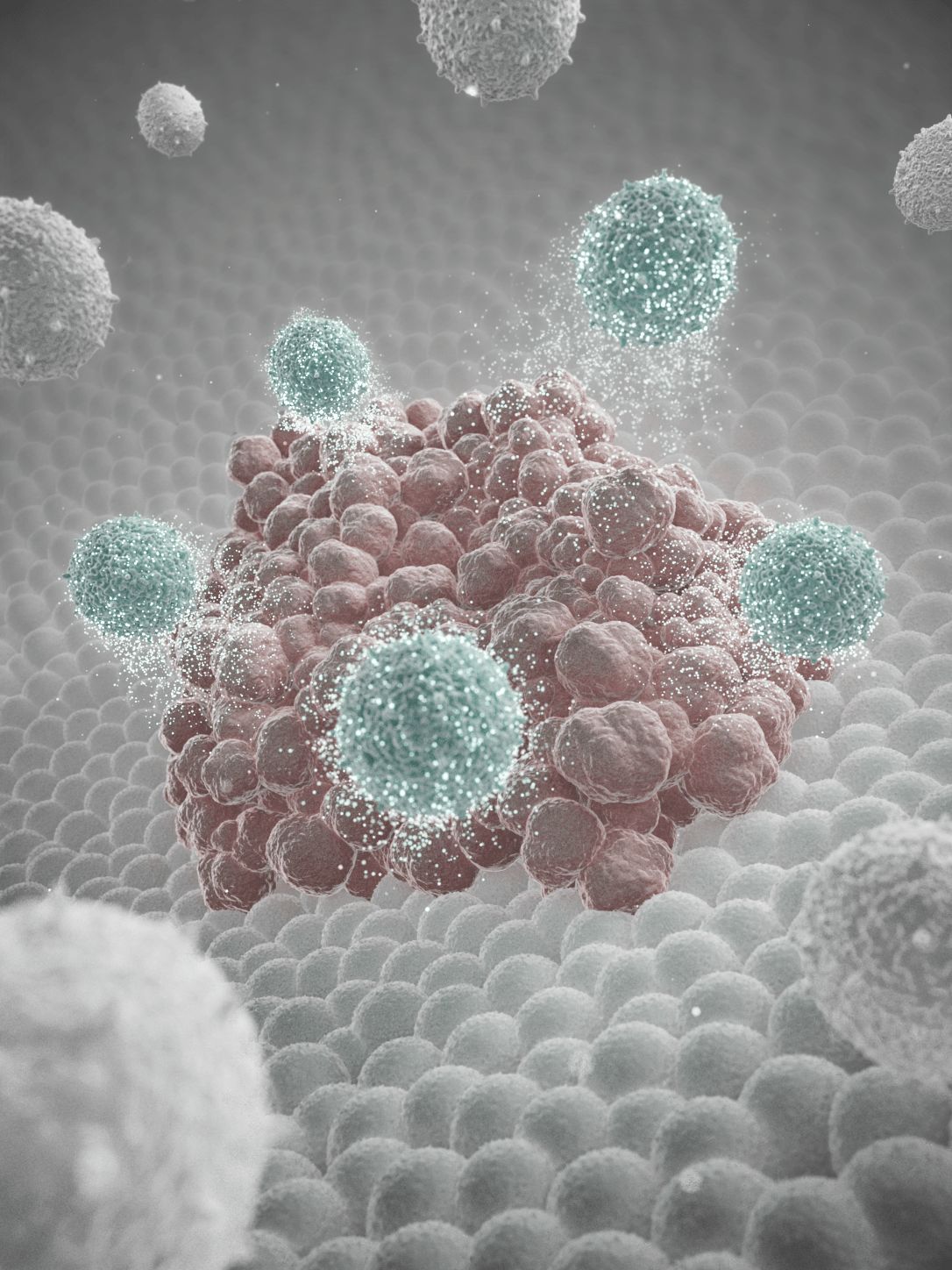 Immuno-oncology