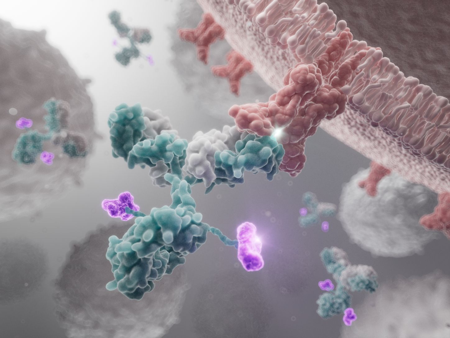 Precision molecular targeting