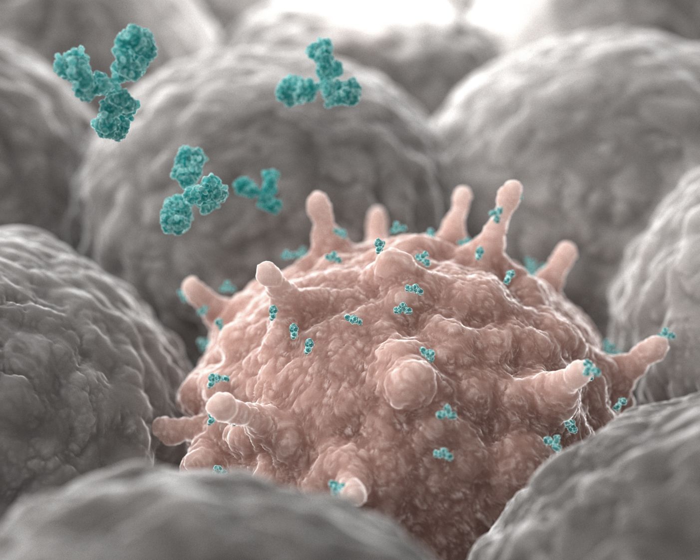 Tissue targeting